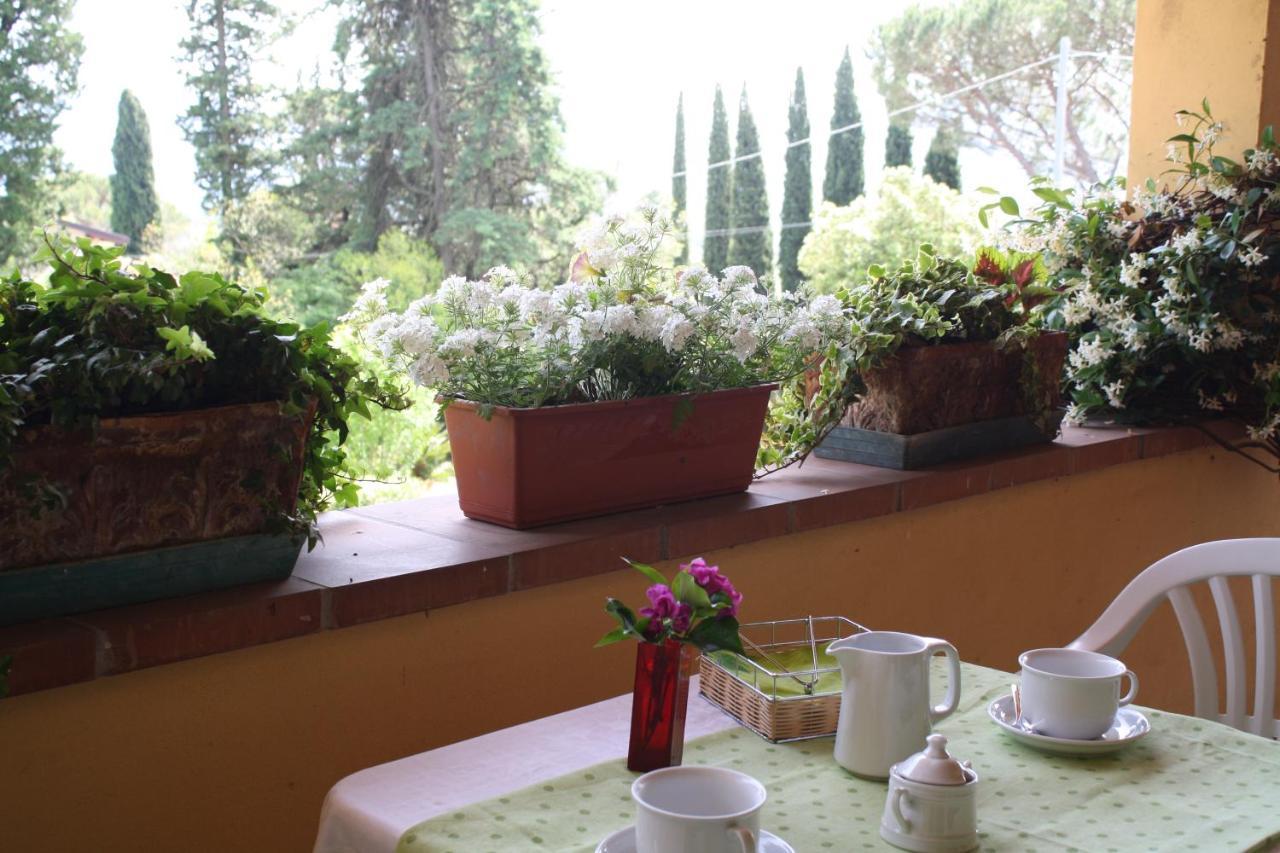 Villa "L'Unica " Λούκα Εξωτερικό φωτογραφία