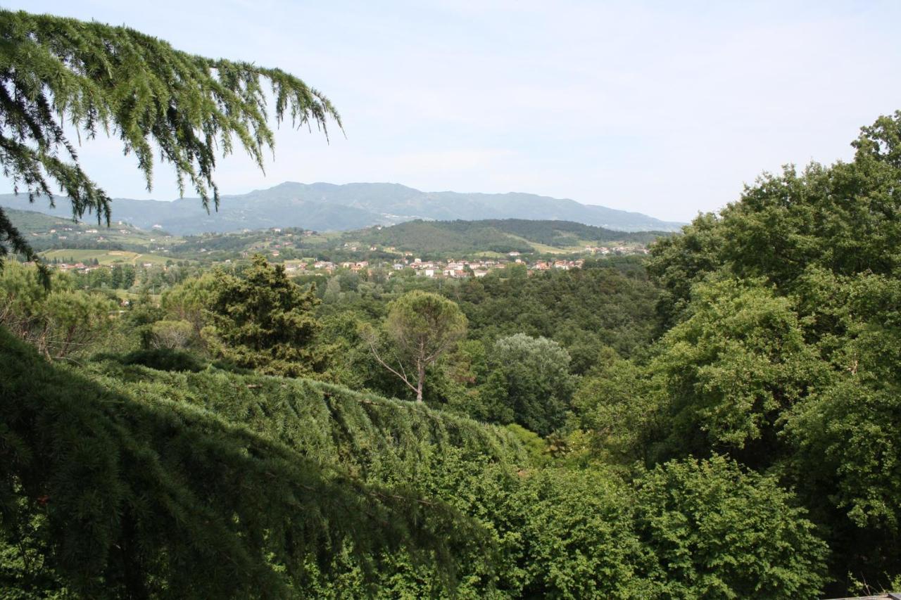 Villa "L'Unica " Λούκα Εξωτερικό φωτογραφία